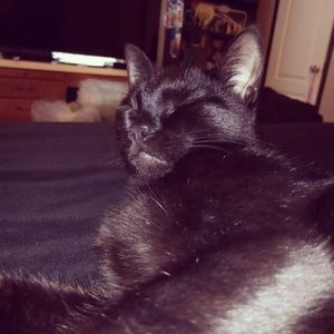 Meet your Posher, Amy